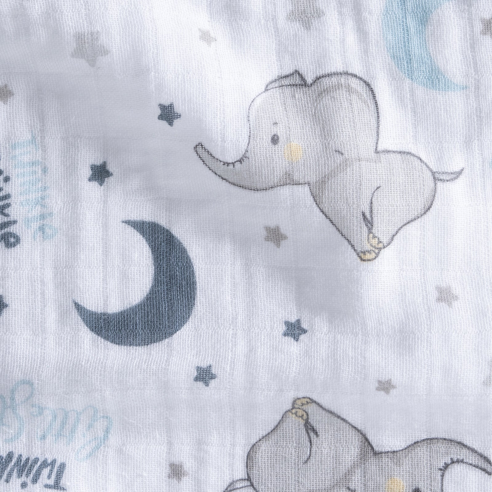 Pol Elephant Sabanita