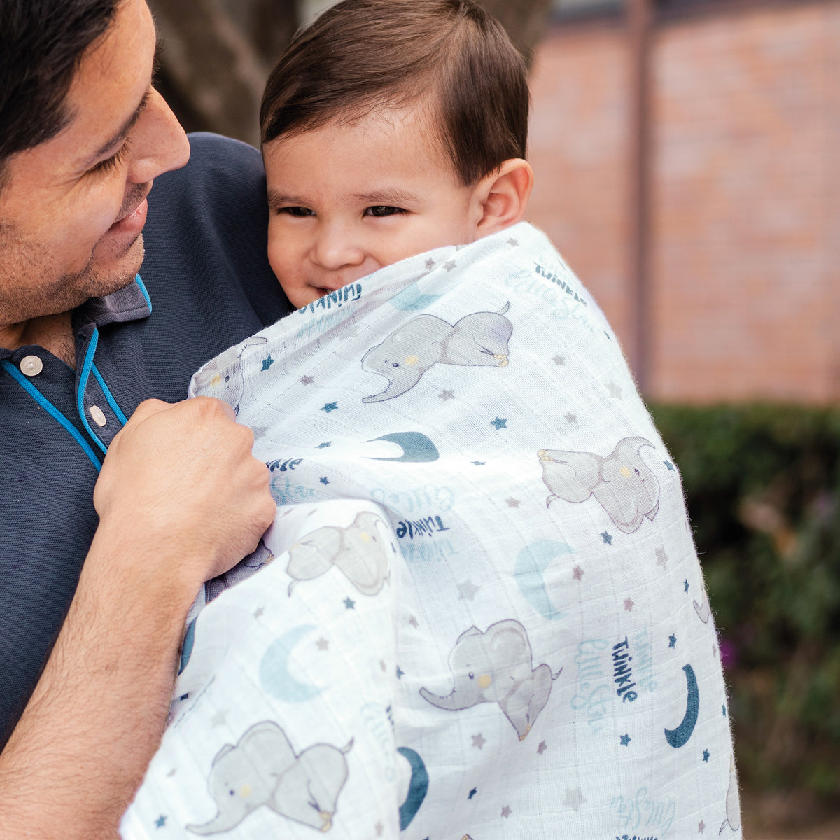 Pol Elephant Sabanita