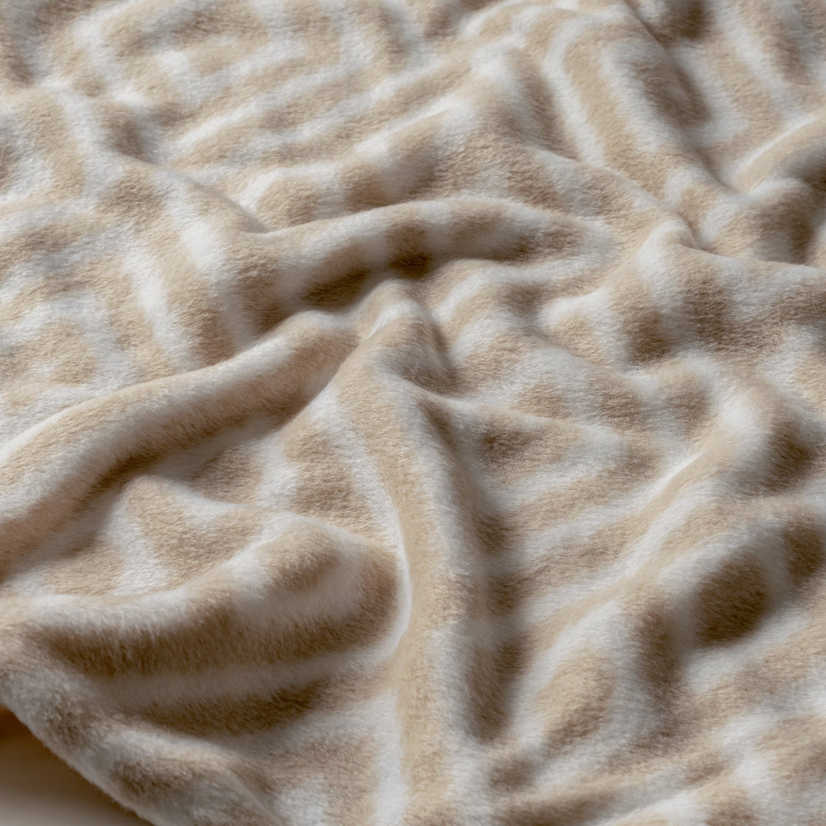 Andes/Iceland polar sheets