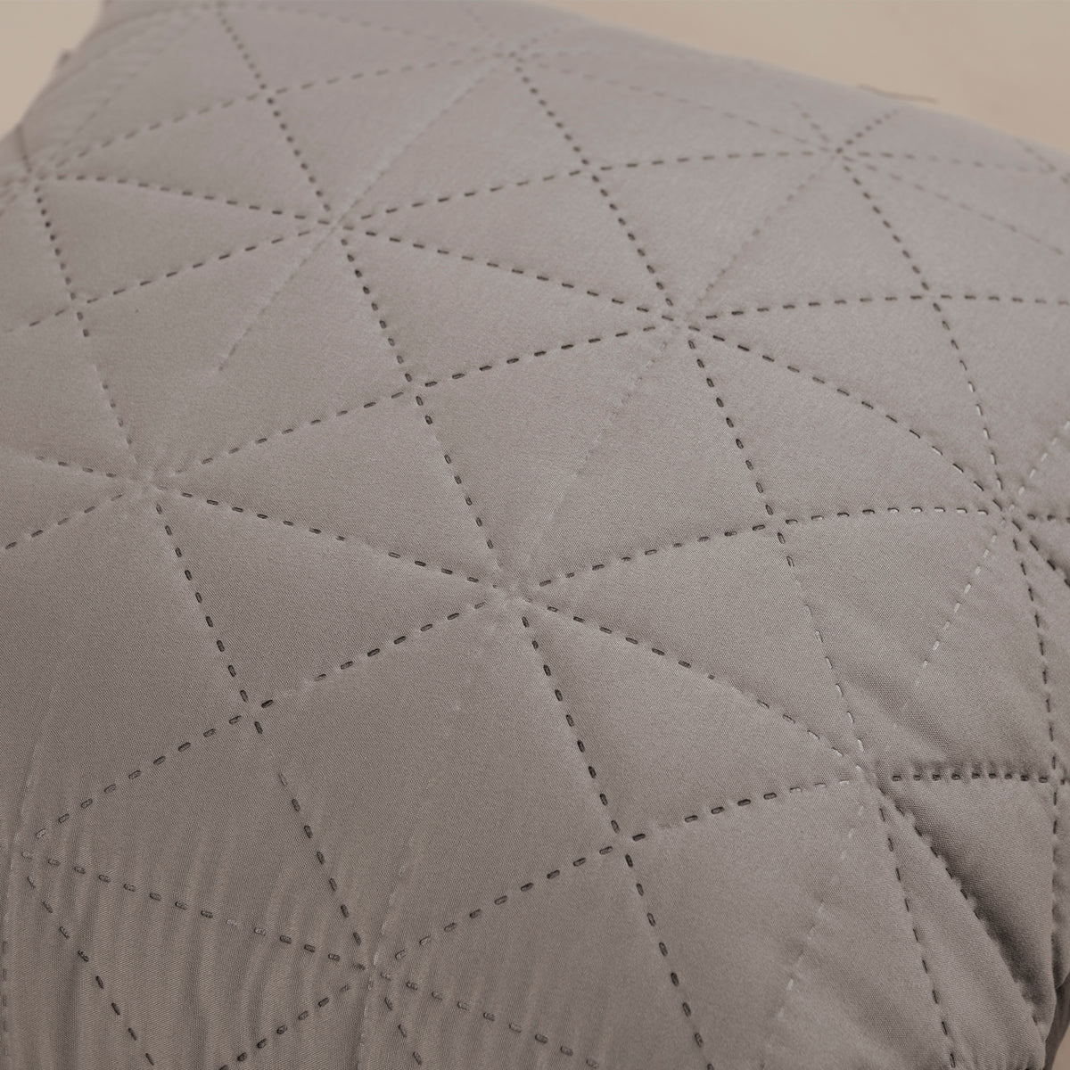 Cojín Grafito UNITALLA