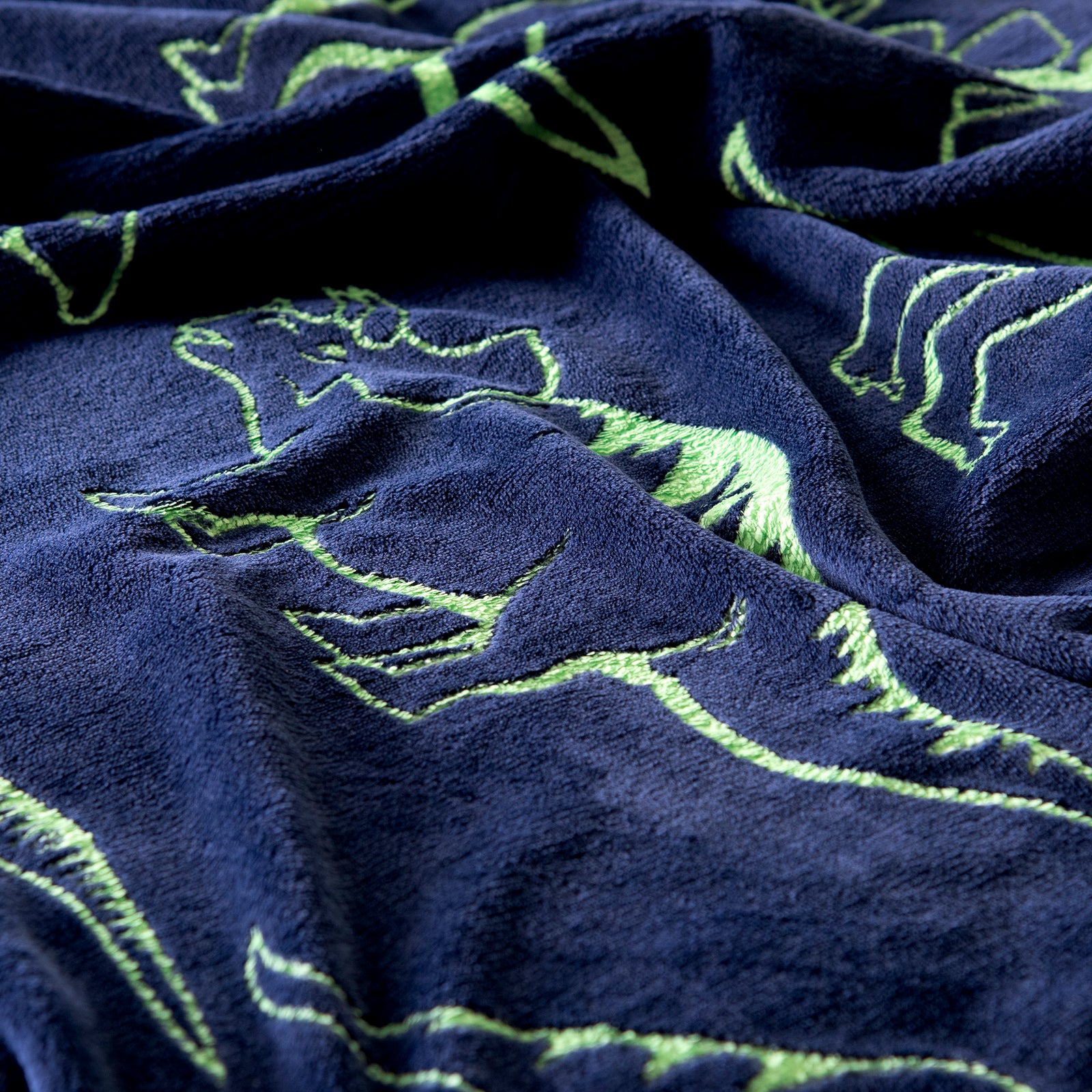 Dinosaurs Light Blanket