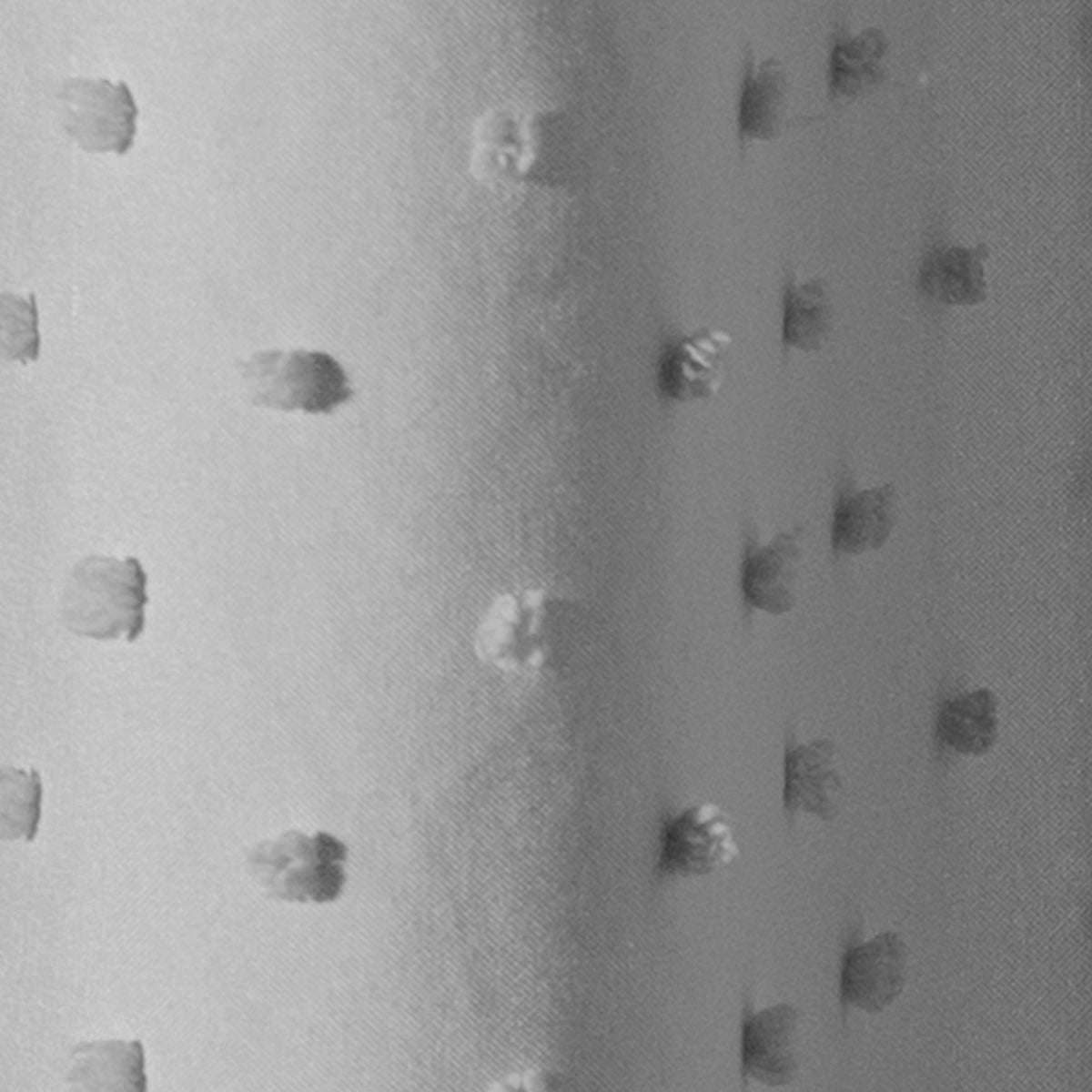 Almohada Abrazable Gris Glacial UNITALLA